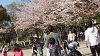 hana26 (293)_thumb.png